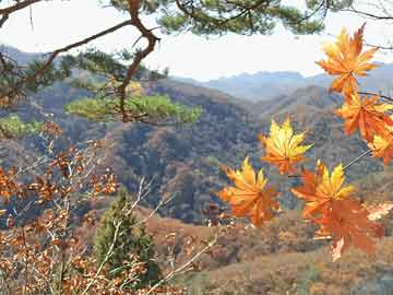 以城市遭导弹袭击 大片别墅变废墟,导弹摧毁城市